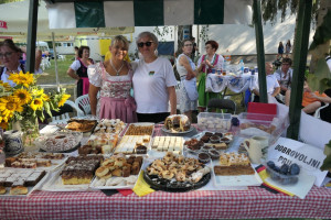 490458616 1124824796347012 4277272834704661579 n 